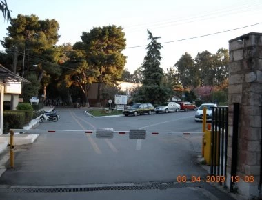 Απίστευτο: Αλεπούδες και ποντίκια στον προαύλιο χώρο του Λοιμωδών της Αγίας Βαρβάρας (φωτο)